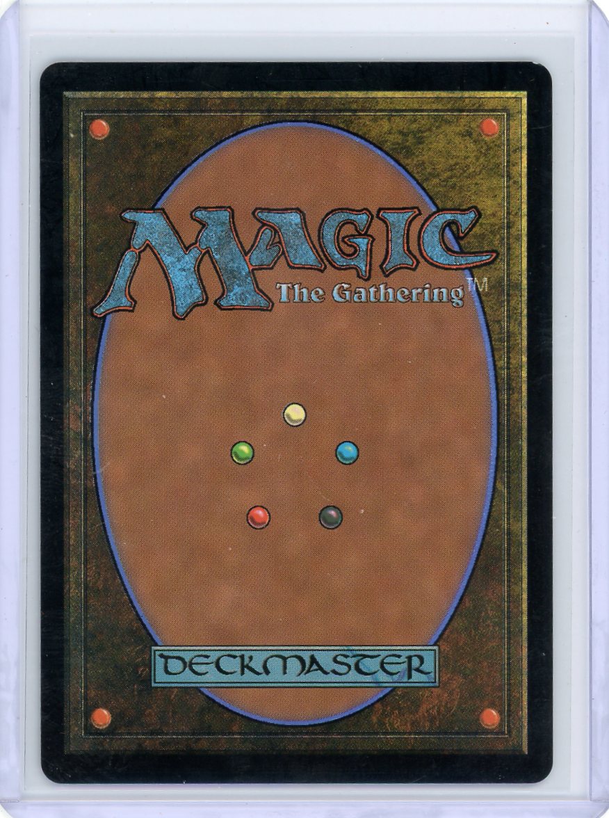 Traveling Chocobo - FINAL FANTASY (FIN)